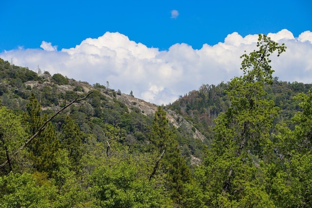view of mountain feature featuring a wooded view