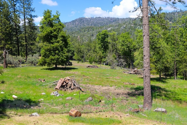 view of yard featuring a view of trees