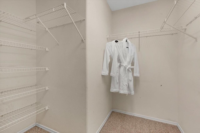 walk in closet with carpet