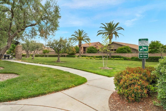 view of community with a yard