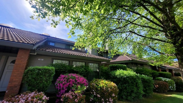 rear view of property with a tile roof