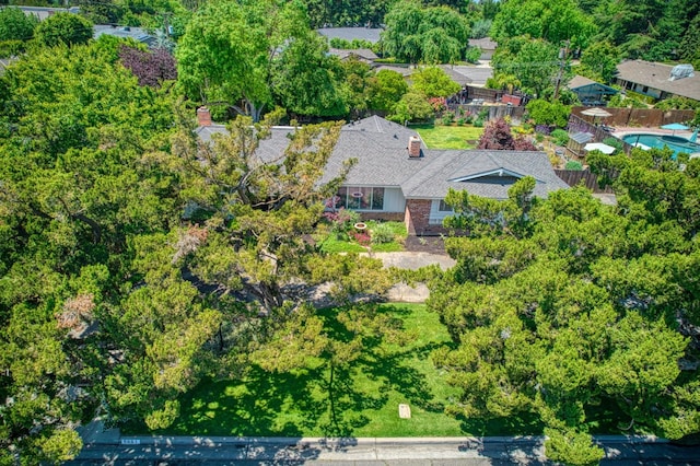 bird's eye view