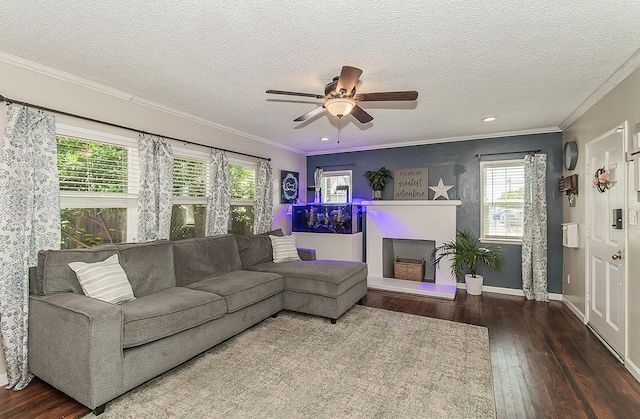 528 W Yale Ave, Fresno, CA 93705 - living room with ornamental molding, wood-type flooring, a textured ceiling, and a wealth of natural light
