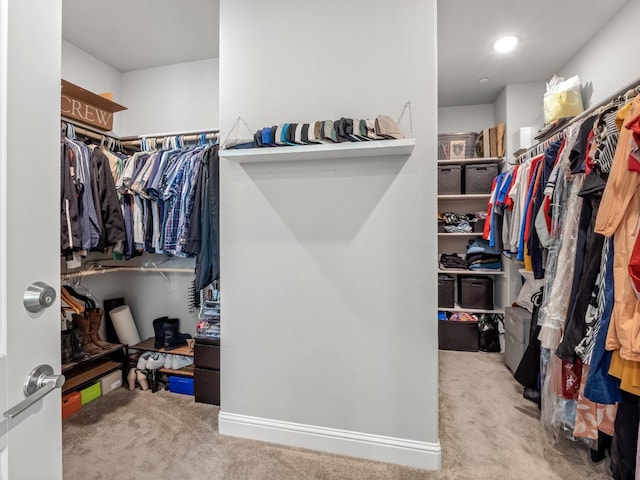 spacious closet featuring carpet flooring