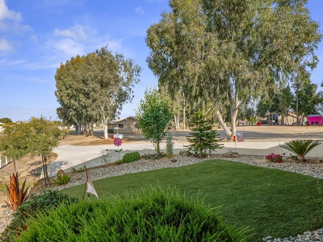 17324 Bonita Rd, Madera, CA 93636 - view of yard