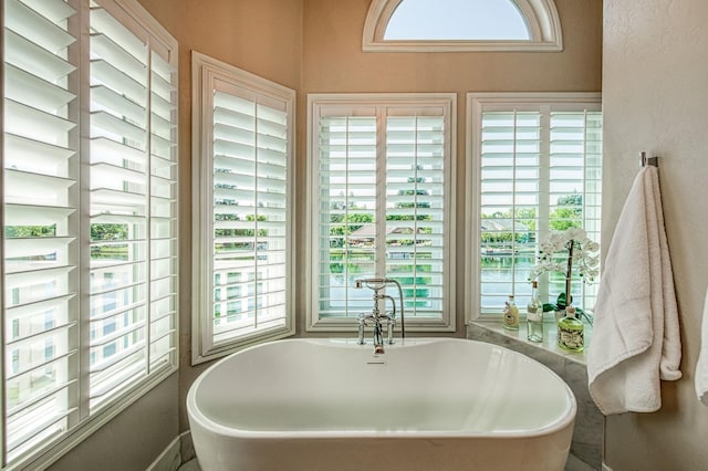 bathroom featuring a freestanding tub