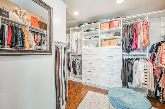 spacious closet with wood finished floors