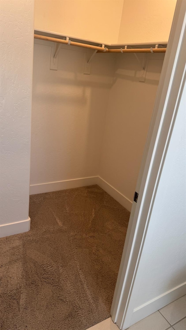 spacious closet with carpet