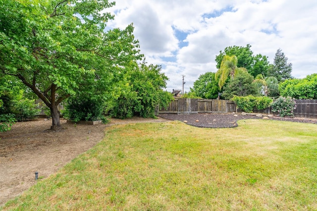 424 W Menlo Ave, Clovis, CA 93612 - view of yard