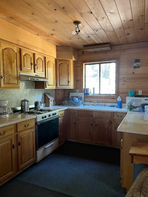 130490 Providence Creek Rd, Shaver Lake, CA 93664 - photo 24