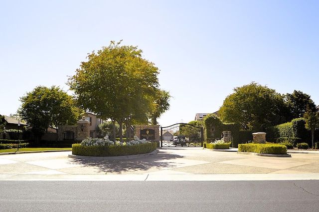 view of street with curbs, a gate, and a gated entry