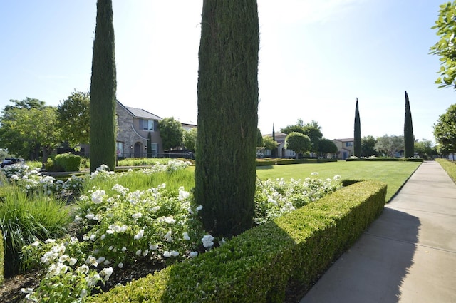 3476 Trenton Ln, Clovis, CA 93619 - view of surrounding community