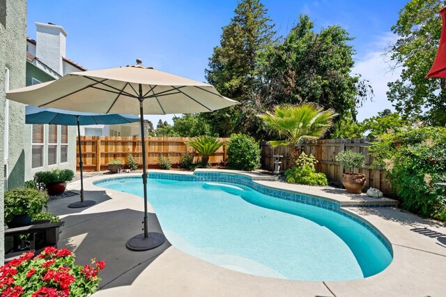 view of swimming pool featuring a fenced backyard and a patio area