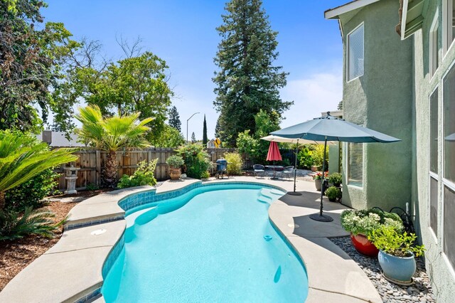 view of pool featuring a patio area and a fenced backyard