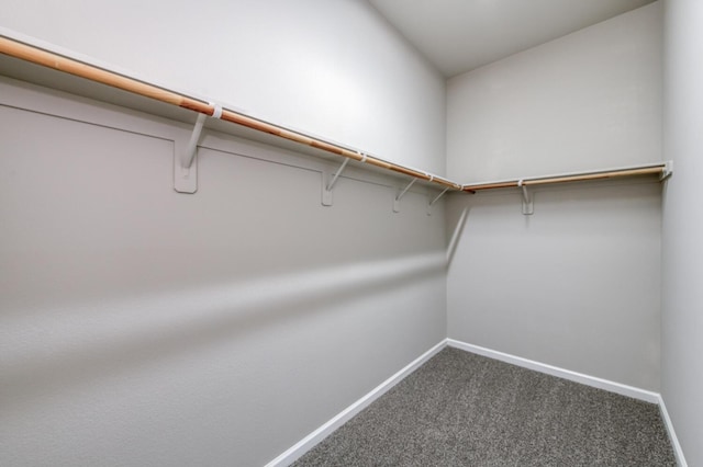 walk in closet with carpet
