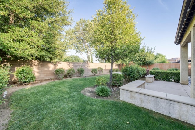 view of yard featuring a patio