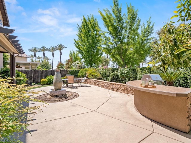 view of patio / terrace featuring fence, an outdoor kitchen, area for grilling, and outdoor dining area