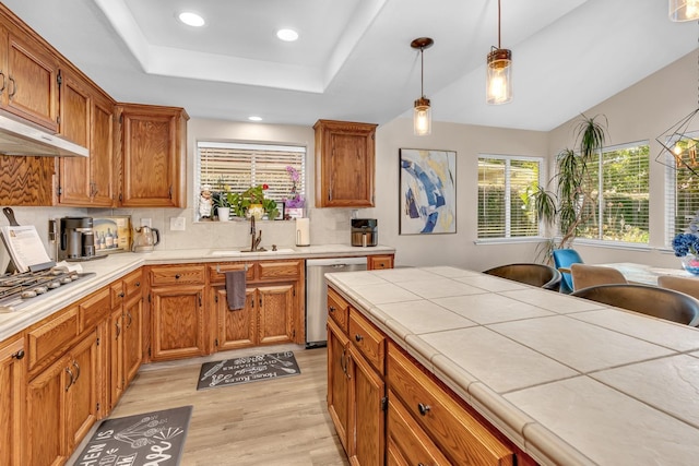 22 Pointe W, Madera, CA 93637 - kitchen with appliances with stainless steel finishes, a sink, light wood finished floors, decorative light fixtures, and decorative backsplash