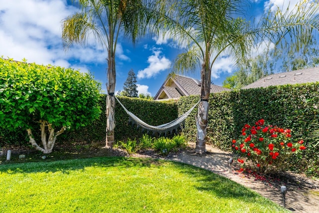 22 Pointe W, Madera, CA 93637 - view of grassy yard