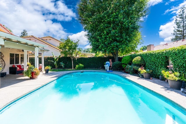 22 Pointe W, Madera, CA 93637 - view of swimming pool with ceiling fan, a patio, and a fenced backyard