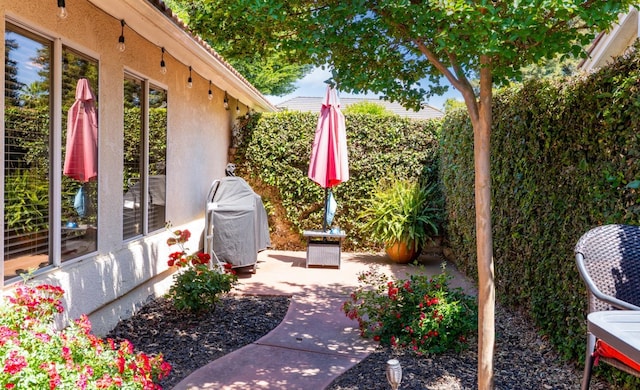 22 Pointe W, Madera, CA 93637 - view of patio