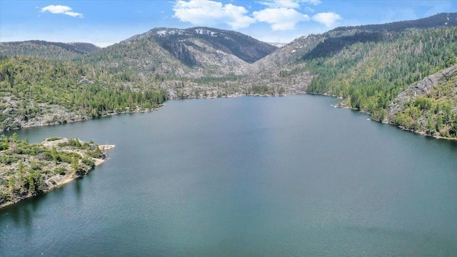 30830 Old Strawberry Rd, Tuolumne, CA 95375 - water view featuring a forest and a mountainous background