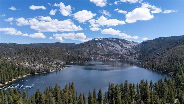 30830 Old Strawberry Rd, Tuolumne, CA 95375 - water view with a forest and mountains