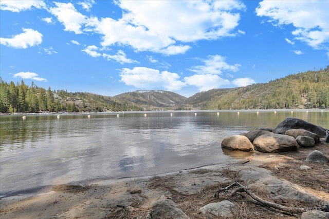 30830 Old Strawberry Rd, Tuolumne, CA 95375 - water view with a mountain backdrop and a forest