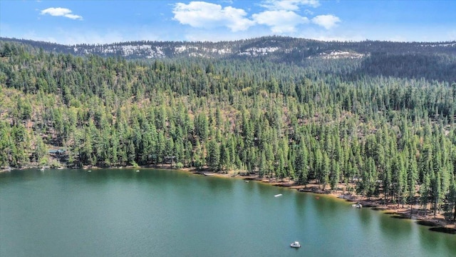 30830 Old Strawberry Rd, Tuolumne, CA 95375 - aerial view of property and surrounding area featuring a heavily wooded area and a water and mountain view