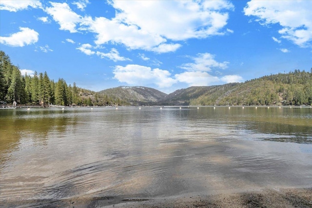 30830 Old Strawberry Rd, Tuolumne, CA 95375 - water view featuring a forest and mountains