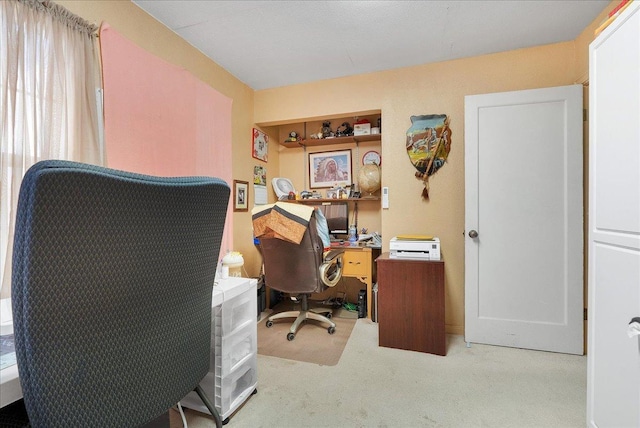 office featuring carpet floors