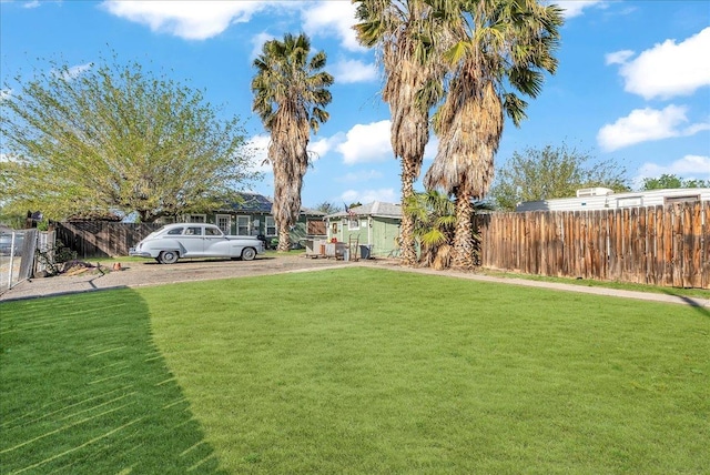 view of yard