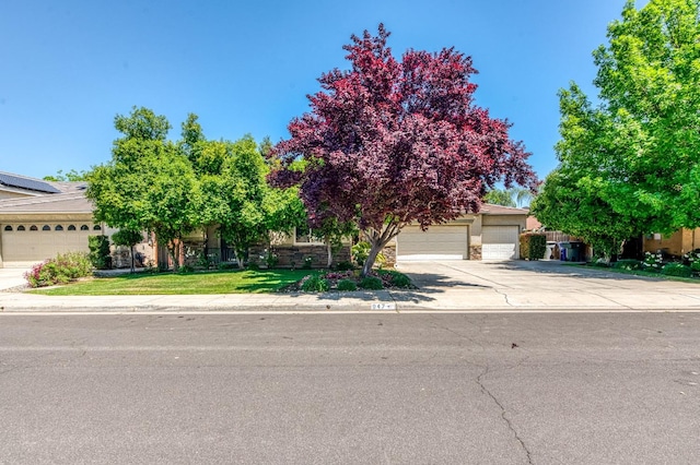 947 Carson Ave, Clovis, CA 93611 - obstructed view of property featuring driveway and a front lawn