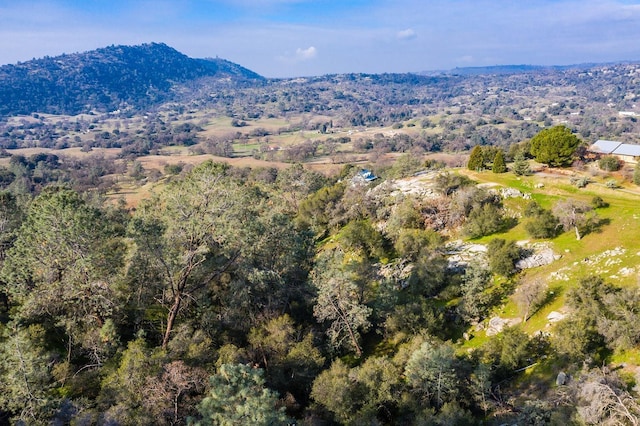 30925 Pennyroyal Ln, Prather, CA 93651 - view of mountain background