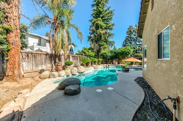 view of swimming pool with a fenced backyard and a patio