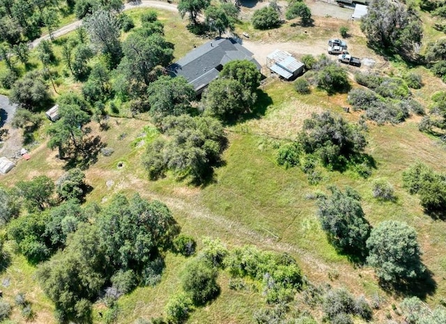 28302 Tollhouse Rd, Tollhouse, CA 93667 - aerial view of property's location