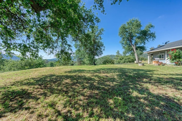 28302 Tollhouse Rd, Tollhouse, CA 93667 - view of green lawn