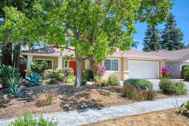 view of property hidden behind natural elements featuring an attached garage, stucco siding, a tile roof, and driveway