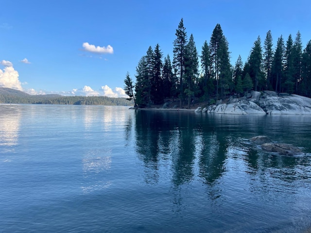 water view with a forest