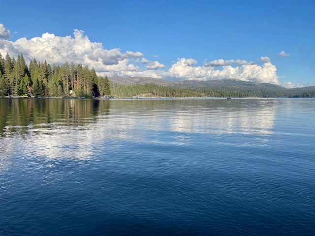 water view featuring a forest