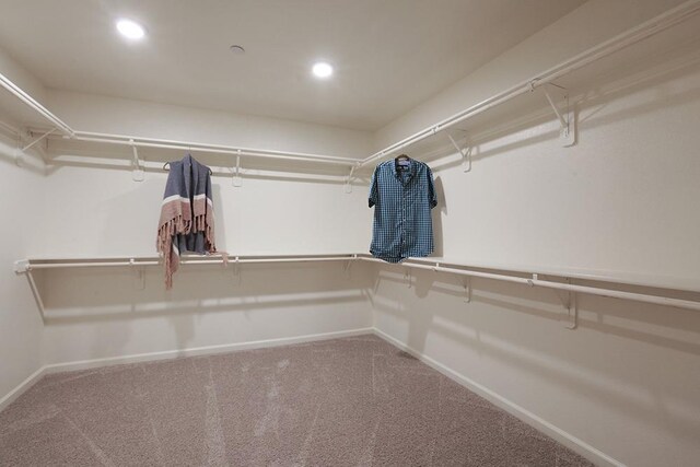 1890 Richard Ave Unit 2054S, Sanger, CA 93657 - walk in closet with carpet floors