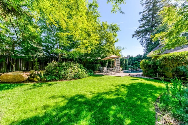 view of yard featuring a patio