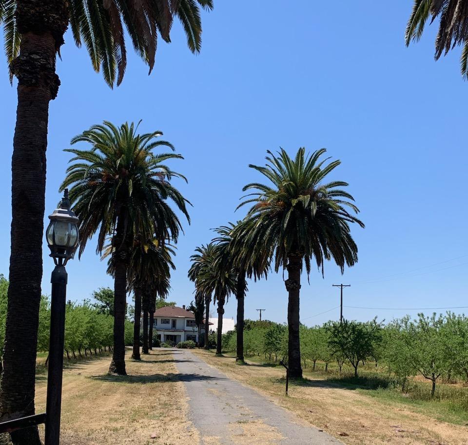14625 Le Grand Rd, Le Grand, CA 95333 - view of asphalt driveway featuring a view of rural / pastoral area