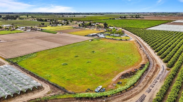 7784 S Del Rey Ave, Del Rey, CA 93616 - view of rural area with rows of crops