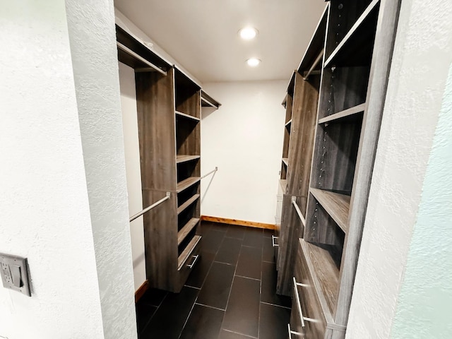 7784 S Del Rey Ave, Del Rey, CA 93616 - view of spacious closet