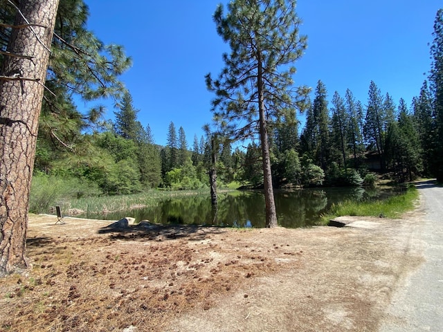 50740 Chu Ranch Rd, Oakhurst, CA 93644 - water view featuring a heavily wooded area