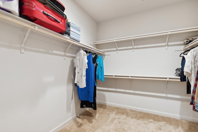 2315 Creekview Dr, Merced, CA 95340 - walk in closet with carpet