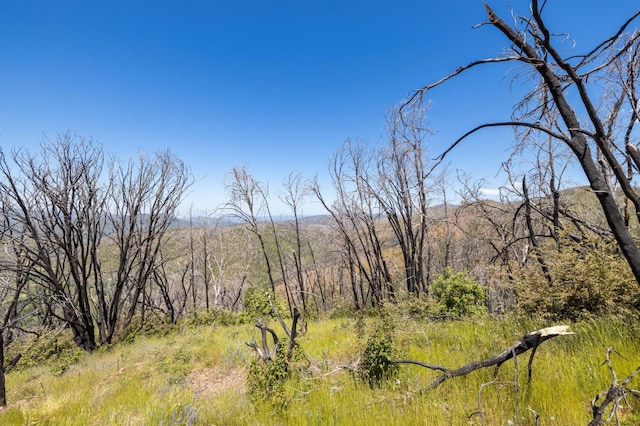 39 Buckingham Mountain Rd, Mariposa, CA 95338 - photo 59