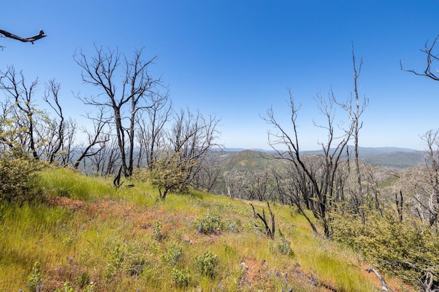 39 Buckingham Mountain Rd, Mariposa, CA 95338 - photo 56