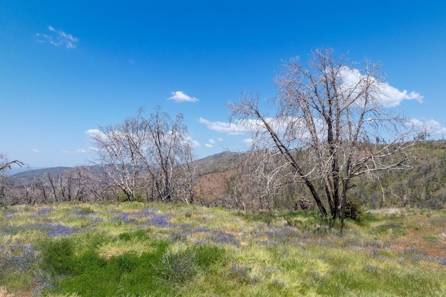 39 Buckingham Mountain Rd, Mariposa, CA 95338 - photo 13